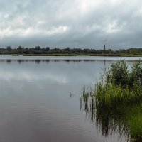 Прикатил на оз.Архиповское :: Сергей Цветков Прикатил на оз.Архиповское :: Сергей Цветков