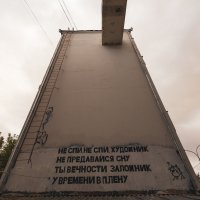 №6