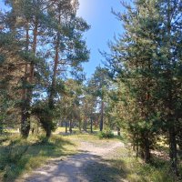 пейзаж :: Владимир пейзаж :: Владимир