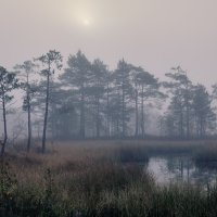 Краденое солнце ...©