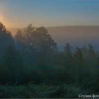 В тумане :: Студия фотографии В тумане :: Студия фотографии
