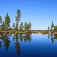 серия "Зеркальная гладь"