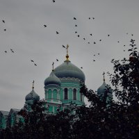 Перелётные вороны