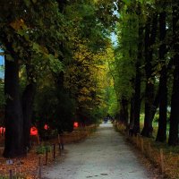 Таинственный вечер в Аптекарском огороде.
