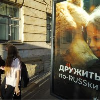 медведь на улице