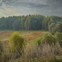 "Утро туманное. К концу сентября"© :: Владимир Макаров "Утро туманное. К концу сентября"© :: Владимир Макаров