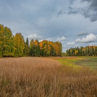 В каждом осеннем дне — встреча того, что было, и того, что есть . . . :: Александр Филатов