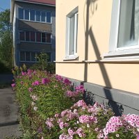 Дорожка цветов во дворе под окнами