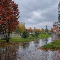 Дождь в моем городе