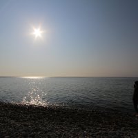 Золотая дорожка осеннего солнца :: Екатерина Леш