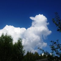 красавиц