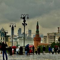Всегда многолюдно