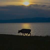 Долгая дорога в дюнах :: Андрей К. Белов Долгая дорога в дюнах :: Андрей К. Белов