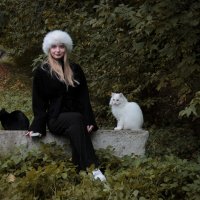 Котики и девушка