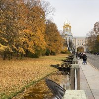 Золотая осень.
