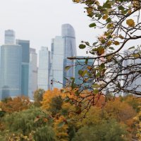 Осенний Москва-Сити