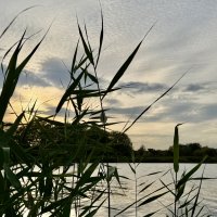 Северский Донецк :: Любовь Броневицкая Северский Донецк :: Любовь Броневицкая