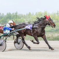 Бега :: SanSan San