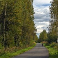 Одинокий велосипедист