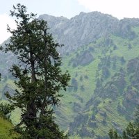МАЛЕНЬКАЯ ПРОГУЛКА. :: Виктор Осипчук МАЛЕНЬКАЯ ПРОГУЛКА. :: Виктор Осипчук