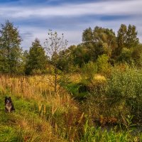 Золотая осень 4.