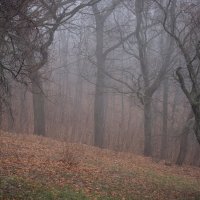 Пора осенних туманов ... :: Ravile 