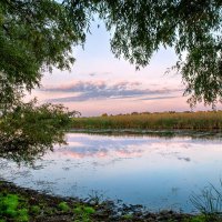 Сентябрьский рассвет в Волго-Ахтубинской пойме. :: Дина Евсеева
