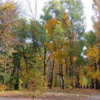 Осенний парк