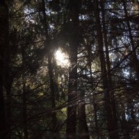 Просвет :: Дмитрий *