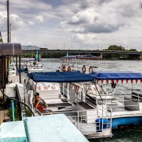 IMG_3695