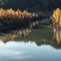 Осенние краски