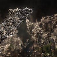 Царицыно 29 сентября