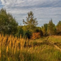 Золотая осень 7