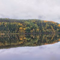 золотая осень :: Ольга Cоломатина золотая осень :: Ольга Cоломатина