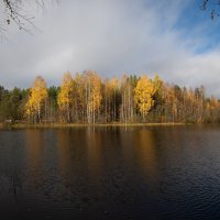 Озеро, Андозеро, осенью.Онежский округ.