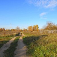 Дорога в осенний лес