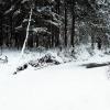 ... :: Денис Печкин