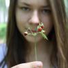 Лес :: Лиза Смирнова