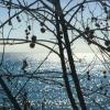 Гурзуф. Утро :: Вячеслав Брагин