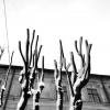 Hands of Nature :: alexander zvir