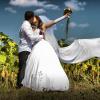 weeding :: Andrey Sobko