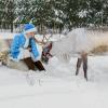 Новогодняя съемка :: Ольга Гуляева