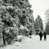 В зимнем парке.. :: Андрей Заломленков