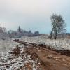 Утром в начале января :: Юрий Стародубцев