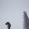 Посреди зимы :: Vladimir (Volf) Kirilin