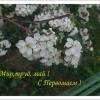 С праздником ,друзья ! :: Galina Solovova