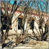 торговые ряды в Киржаче :: Любовь 