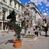 Лошадки Камергерского ,,,) :: Анатолий Колосов
