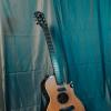 Washburn :: Soaring Man Владимир