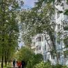 Весенним днём! :: Нина Андронова